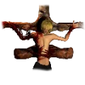 shnoazo